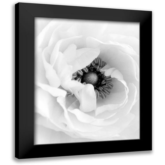 Straatsma, Leah 20x24 Black Modern Framed Museum Art Print Titled - Modern Black White Floral 16x20