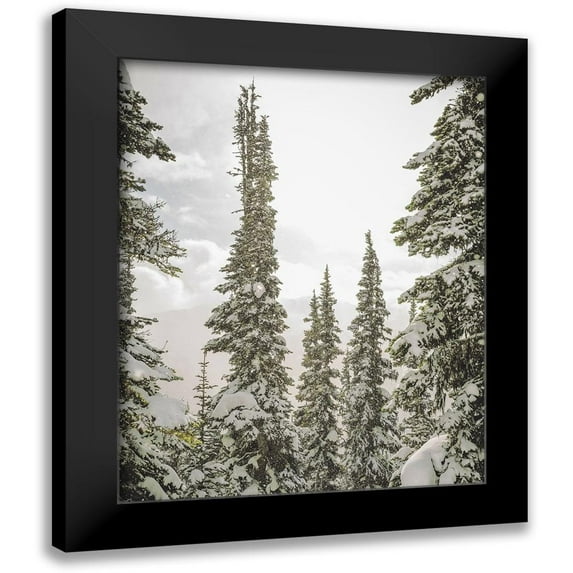 Straatsma, Leah 20x24 Black Modern Framed Museum Art Print Titled - Snow Covered PInes
