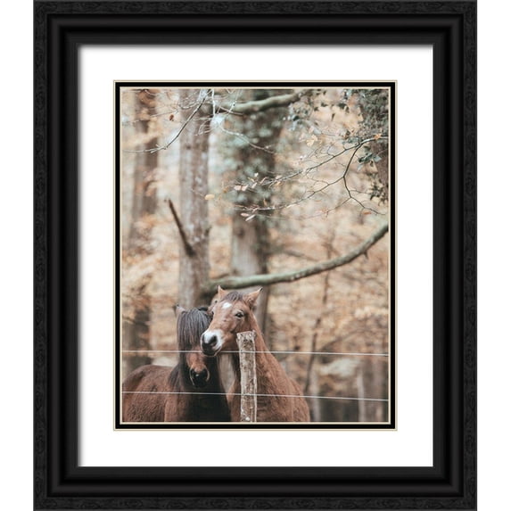 Straatsma, Leah 20x24 Black Ornate Wood Framed with Double Matting Museum Art Print Titled - Best Friend Brown Horses