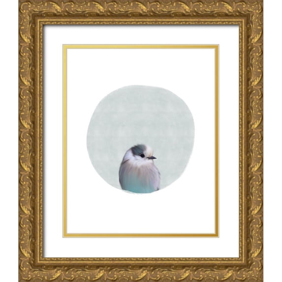 Straatsma, Leah 20x24 Gold Ornate Wood Framed with Double Matting Museum Art Print Titled - Baby Circle Bird