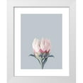 thumbnail image 1 of Straatsma, Leah 20x24 White Modern Wood Framed Museum Art Print Titled - King Protea Plant, 1 of 4