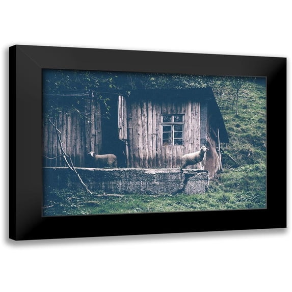 Straatsma, Leah 24x17 Black Modern Framed Museum Art Print Titled - Sheepish