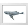 thumbnail image 1 of Straatsma, Leah 24x19 White Modern Wood Framed Museum Art Print Titled - Humpback, 1 of 4
