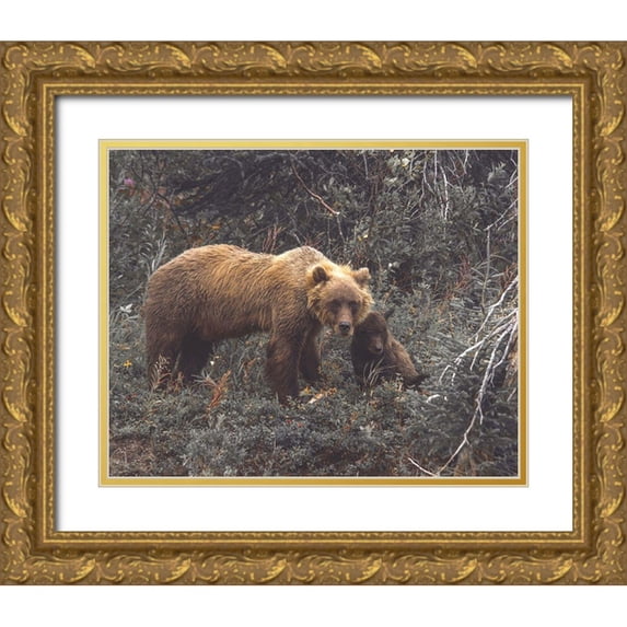 Straatsma, Leah 24x20 Gold Ornate Wood Framed with Double Matting Museum Art Print Titled - Momma Bear