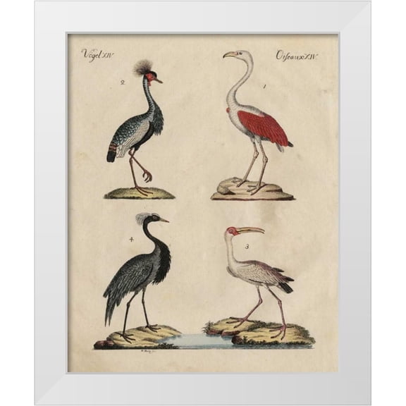 Strack, Friedrich 12x14 White Modern Wood Framed Museum Art Print Titled - Heron Classification II