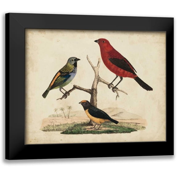 Strack, Friedrich 14x12 Black Modern Framed Museum Art Print Titled - Red and Green Tanager