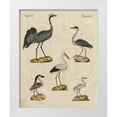 thumbnail image 1 of Strack, Friedrich 26x32 White Modern Wood Framed Museum Art Print Titled - Heron Classification I, 1 of 4
