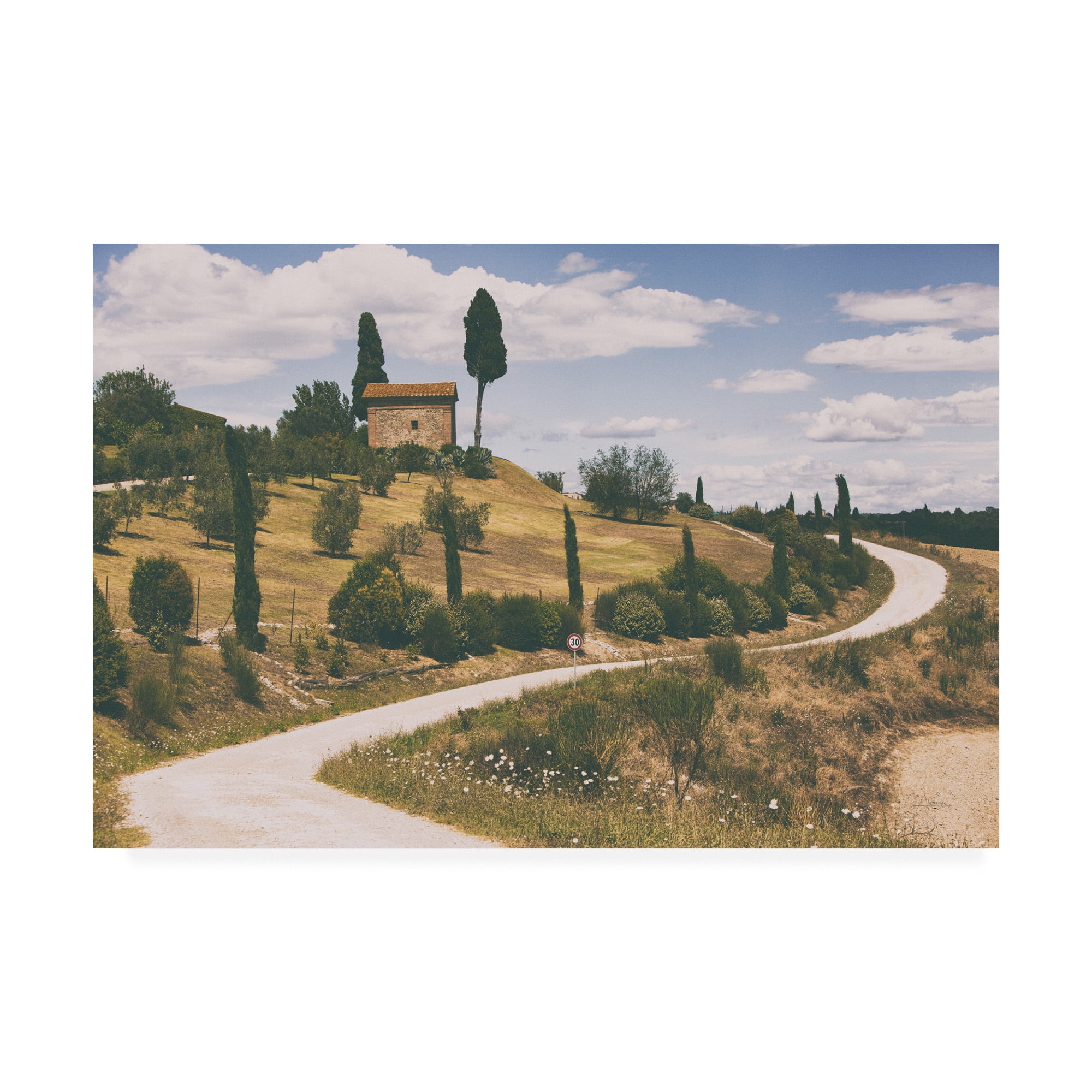 Strada Bianca I' Canvas Art by Aledanda
