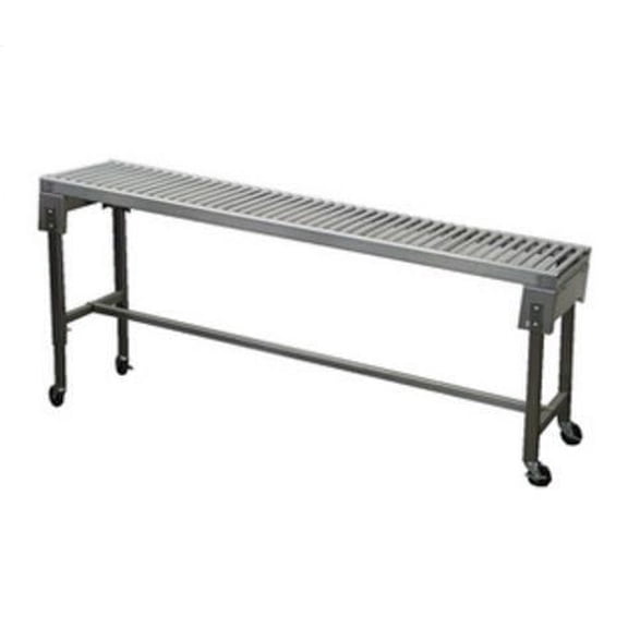 Straight Gravity Conveyor 4' by 22" by HEAT SEAL