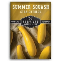 Straightneck Summer Squash Seed - Non-GMO Heirloom Full Sun Annual Vegetable - 1 Pack