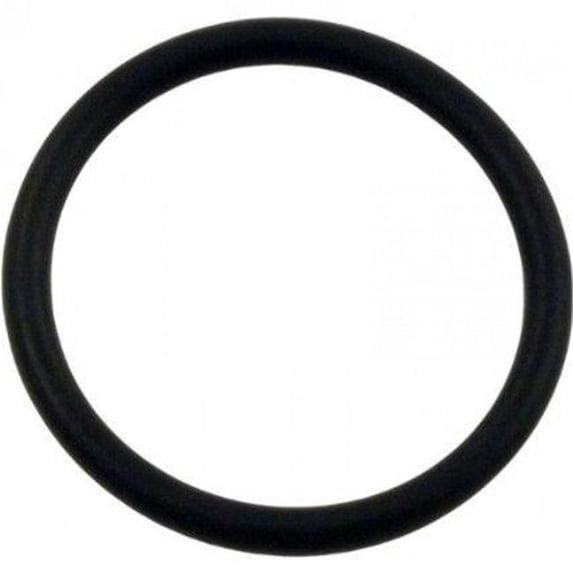Strainer O-ring Replacement for Select Pump and Filter