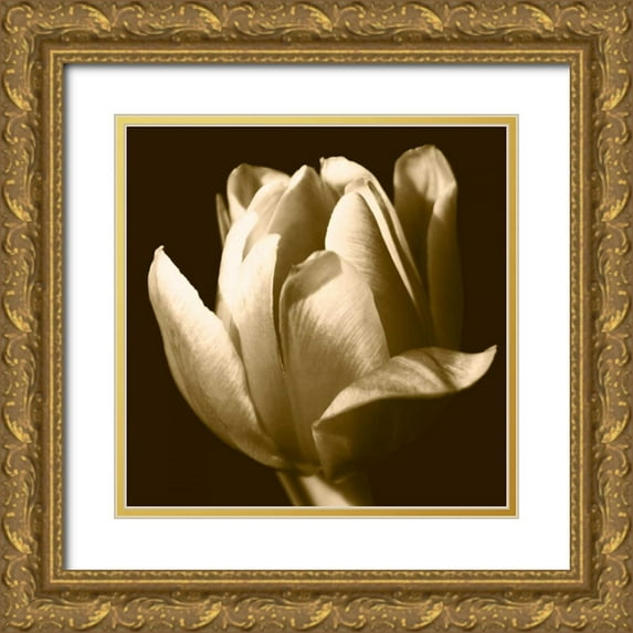 Stramel, Renee W. 12x12 Gold Ornate Wood Framed with Double Matting Museum Art Print Titled - Sepia Tulip II