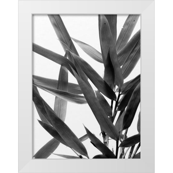 Stramel, Renee W. 12x14 White Modern Wood Framed Museum Art Print Titled - BandW Bamboo IV