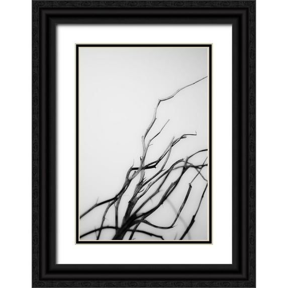 Stramel, Renee W. 13x18 Black Ornate Wood Framed with Double Matting Museum Art Print Titled - Searching Branches I
