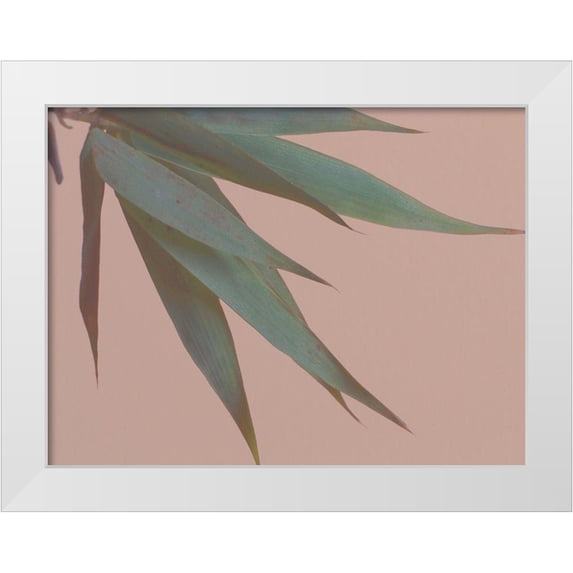 Stramel, Renee W. 14x12 White Modern Wood Framed Museum Art Print Titled - Bamboo Pink IV