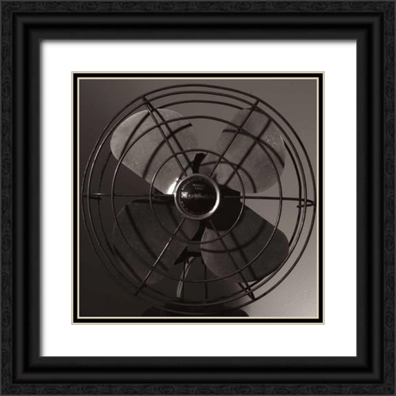 Stramel, Renee W. 15x15 Black Ornate Wood Framed with Double Matting Museum Art Print Titled - Vintage Fan Study IV