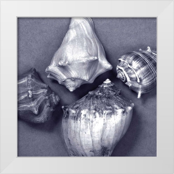 Stramel, Renee W. 15x15 White Modern Wood Framed Museum Art Print Titled - Shell Convergence V