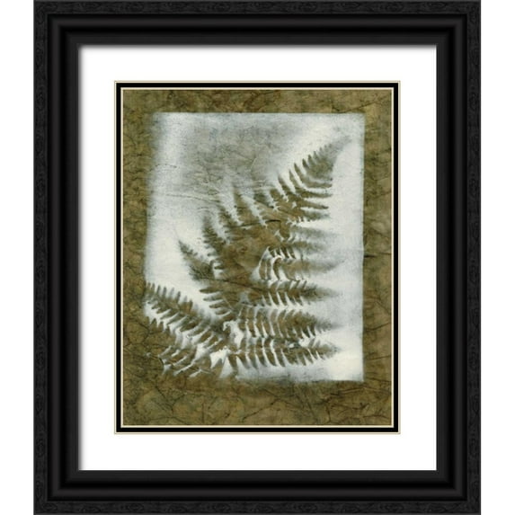 Stramel, Renee W. 15x18 Black Ornate Wood Framed with Double Matting Museum Art Print Titled - Shadows and Ferns I