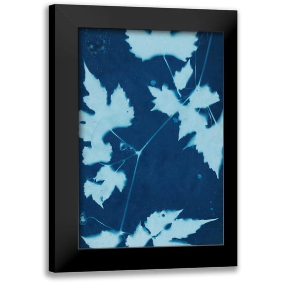 Stramel, Renee W. 17x24 Black Modern Framed Museum Art Print Titled - Cyanotype No.9