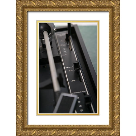 Stramel, Renee W. 17x24 Gold Ornate Wood Framed with Double Matting Museum Art Print Titled - Turntable IV