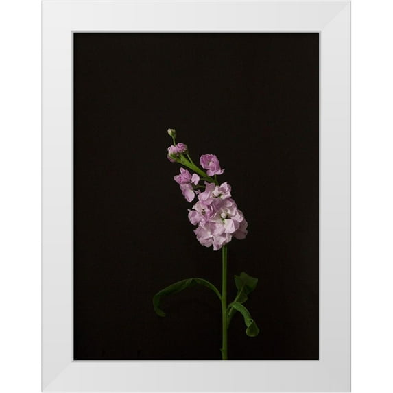 Stramel, Renee W. 19x24 White Modern Wood Framed Museum Art Print Titled - Dark and Dreamy III