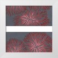 thumbnail image 1 of Stramel, Renee W. 20x20 White Modern Wood Framed Museum Art Print Titled - 2-Up Dianthus II, 1 of 4