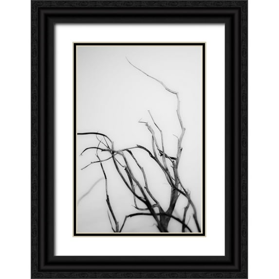 Stramel, Renee W. 23x32 Black Ornate Wood Framed with Double Matting Museum Art Print Titled - Searching Branches II