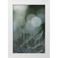 thumbnail image 1 of Stramel, Renee W. 23x32 White Modern Wood Framed Museum Art Print Titled - Macro Dandilion IX, 1 of 4