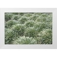 thumbnail image 1 of Stramel, Renee W. 32x23 White Modern Wood Framed Museum Art Print Titled - Natures Textures III, 1 of 4