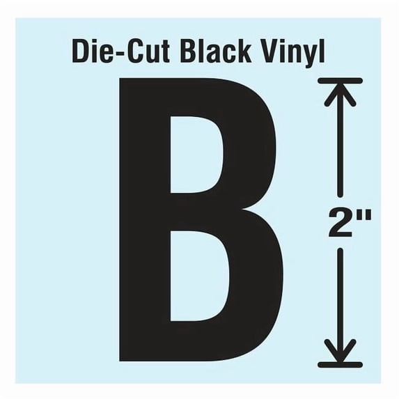 Stranco Die Cut Letter Label, B, 10 Cards,PK10 DBV-2-B-10