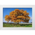 thumbnail image 1 of Strand, Hans 24x17 White Modern Wood Framed Museum Art Print Titled - Golden Oak, 1 of 4
