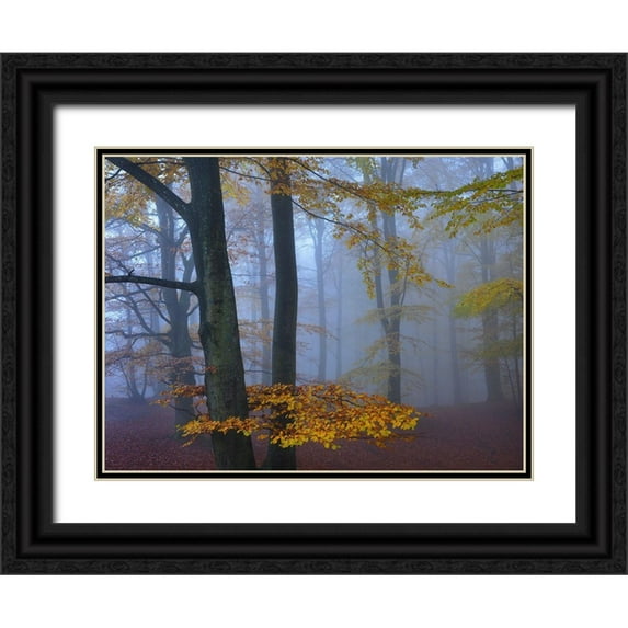 Strand, Hans 32x25 Black Ornate Wood Framed with Double Matting Museum Art Print Titled - Autumn Forest
