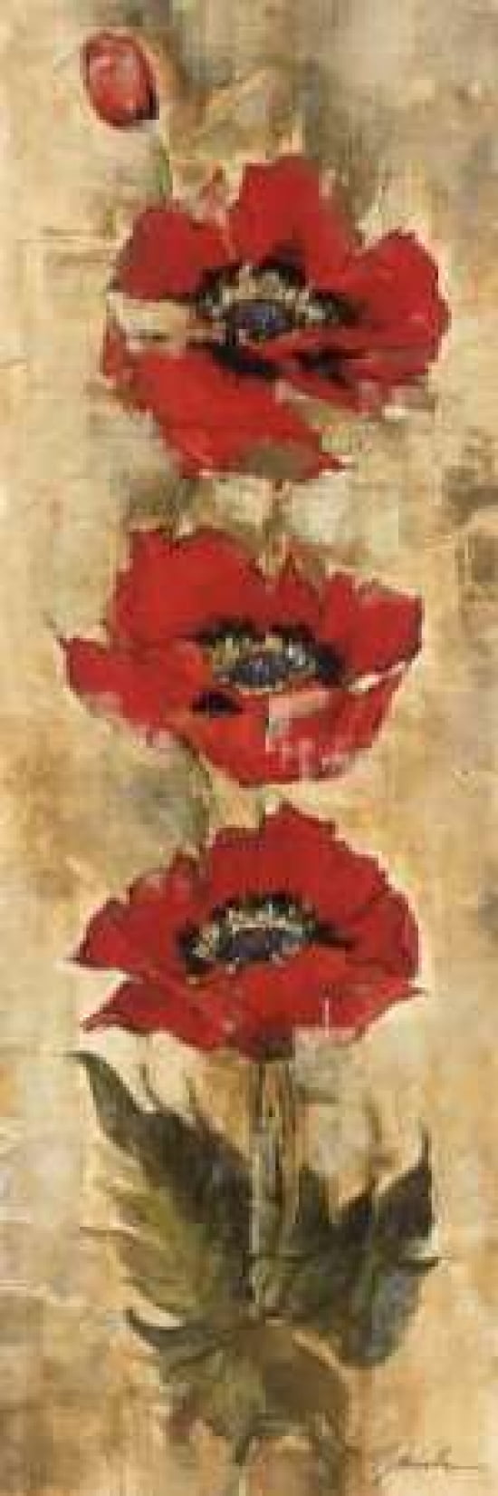 Strand of Poppies I Canvas Art - Liz Jardine (12 x 36)