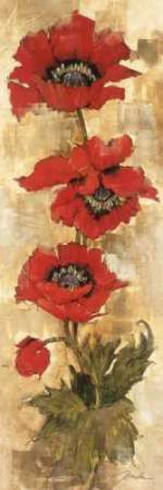 Strand of Poppies II Canvas Art - Liz Jardine (12 x 36)