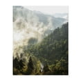 thumbnail image 1 of Strange Clouds - Photography Forest Nature Landscape Mountain Scenic Woodland Foggy Unframed Wall Art Print 8 x 10 inches, 1 of 13