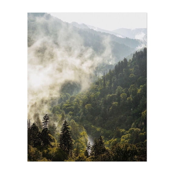 Strange Clouds - Photography Forest Nature Landscape Mountain Scenic Woodland Foggy Unframed Wall Art Print 8 x 10 inches