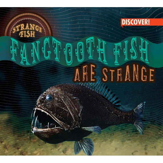 Strange Fish Fangtooth Fish Are Strange, (Hardcover)