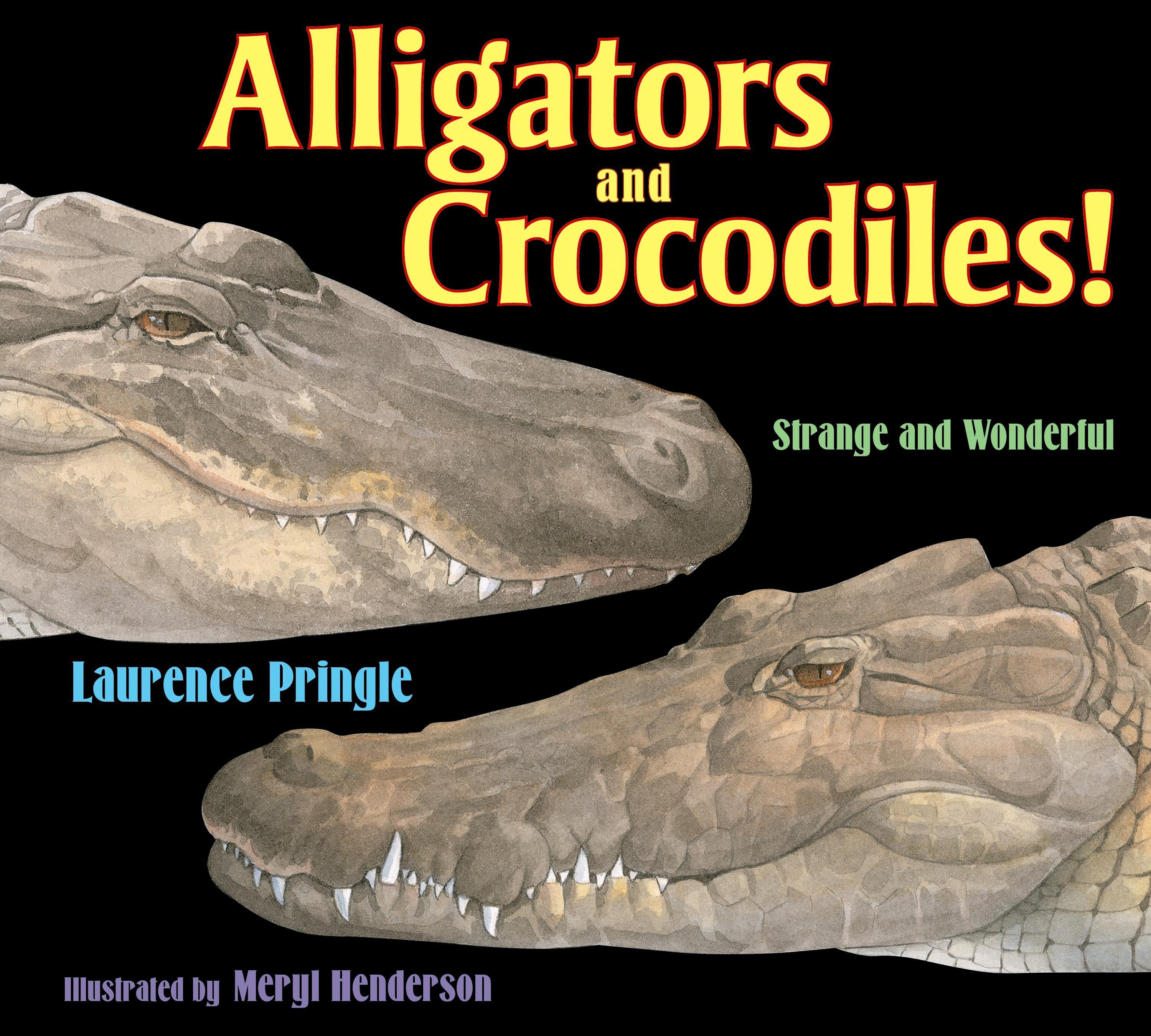 Strange and Wonderful: Alligators and Crocodiles! : Strange and Wonderful (Hardcover) - image 1 of 1