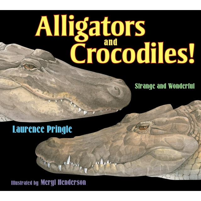 Strange and Wonderful: Alligators and Crocodiles! : Strange and Wonderful (Hardcover)
