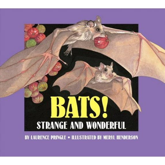 Strange and Wonderful: Bats! : Strange and Wonderful (Paperback)