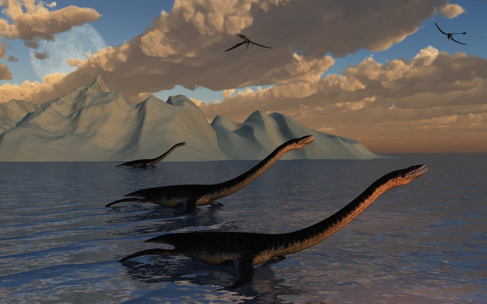 Strange creatures that best resemble prehistoric Plesiosaurs Canvas Art - Mark StevensonStocktrek Images (36 x 22)