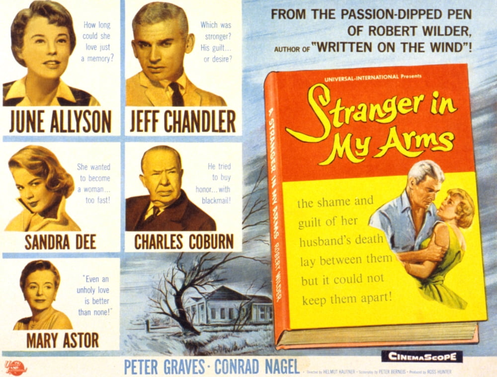 Stranger In My Arms Canvas Art - (28 x 22)