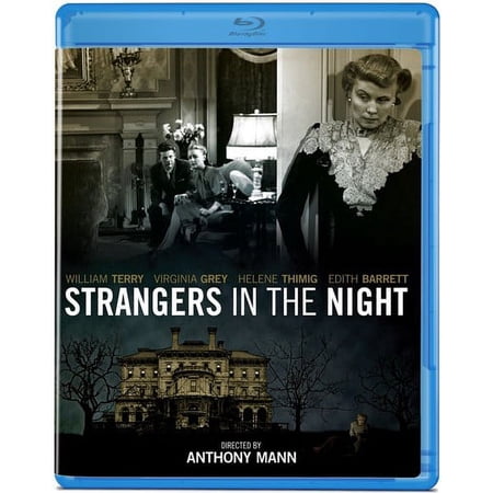 Strangers in the Night
