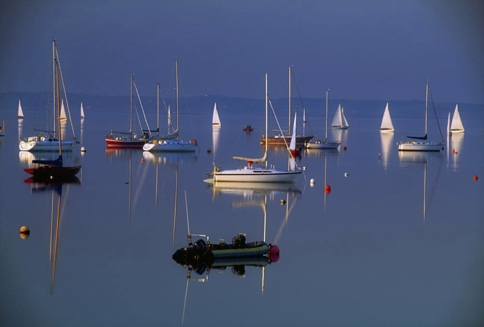 Strangford Lough Co Down Ireland Sailboats On Still Water Canvas Art - The Irish Image Collection Design Pics (36 x 24)