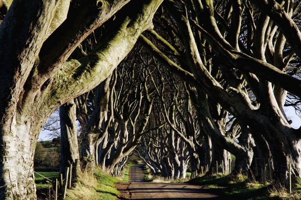 Stranocum Co Antrim Ireland Canvas Art - The Irish Image Collection Design Pics (17 x 11)