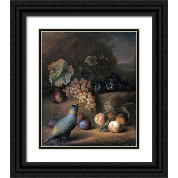Stranover, Tobias 26x31 Black Ornate Wood Framed with Double Matting Museum Art Print Titled - A Parrot With Grapes, Peaches and Plums In a Landscape