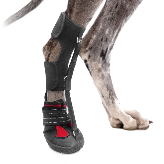 Strap-On Drop Foot Brace (No Knuckling Boot Brace) for Dogs— Corrective Dog Shoes to Safely Lift Toes for Foot Issues, Arthritis, and improving Walking gait in Dogs, Patent Pending(XL)
