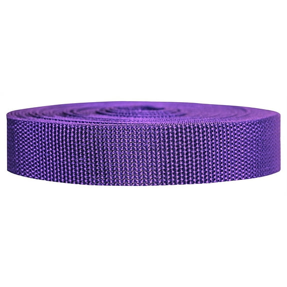 Strapworks 1 Inch x 10 Yards Heavy-Weight Polypropylene Webbing