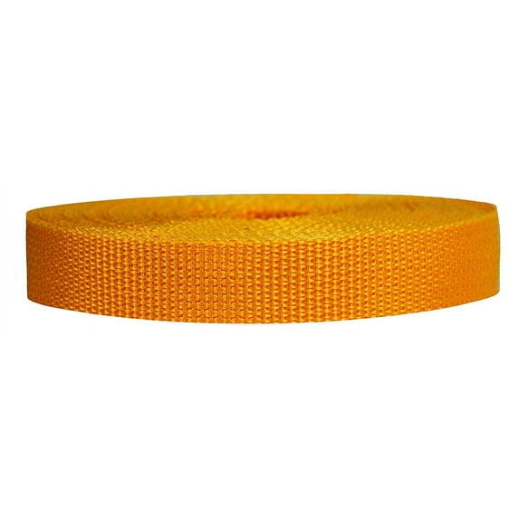 Strapworks 1 Inch x 25 Yards Polypropylene Lightweight Webbing