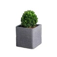 thumbnail image 1 of Strata Banbury Square Planter, 1 of 4
